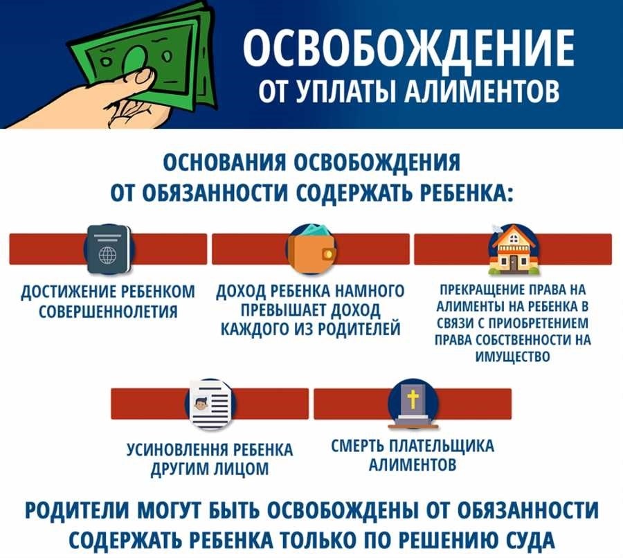 Сколько платят алименты в россии расчет размер и порядок выплаты