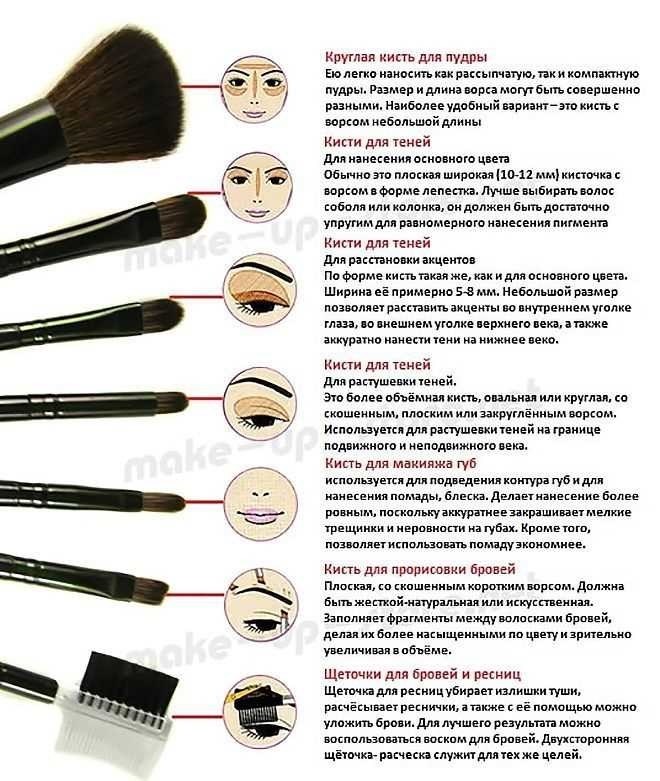 Состав основания для макияжа какие продукты входят в состав основы для идеального макияжа 