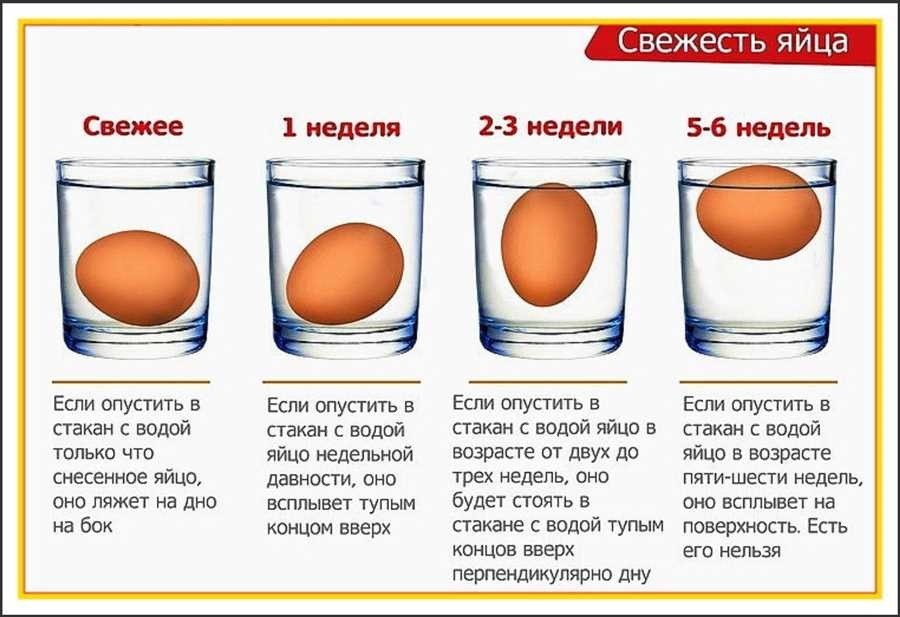 Срок годности свежих куриных яиц в холодильнике правила хранения и сроки годности